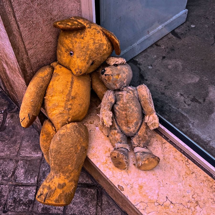 Two old teddy bears