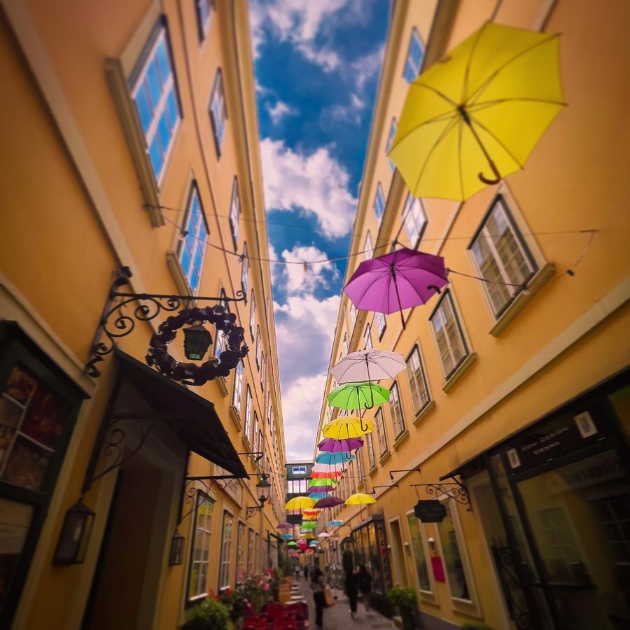 Umbrella street